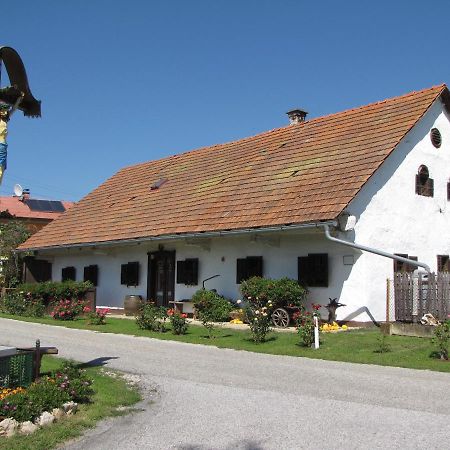 Homestay Kapl Ledinek Dış mekan fotoğraf