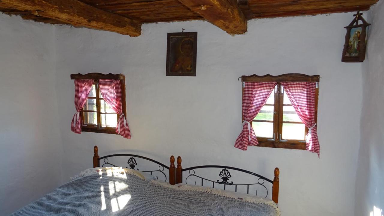 Homestay Kapl Ledinek Dış mekan fotoğraf