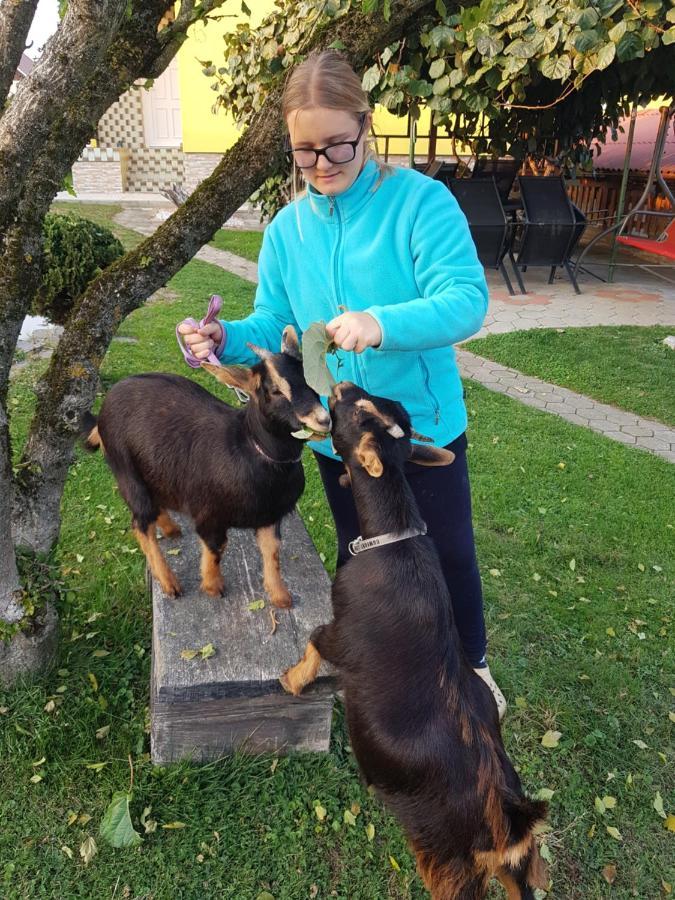 Homestay Kapl Ledinek Dış mekan fotoğraf