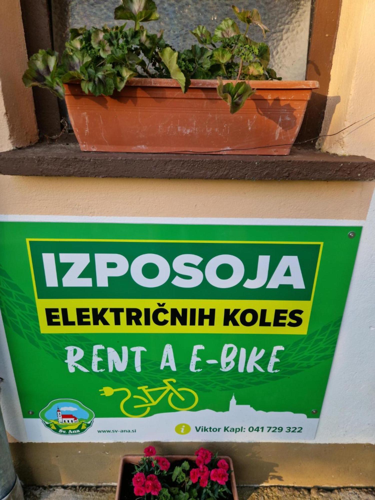 Homestay Kapl Ledinek Dış mekan fotoğraf