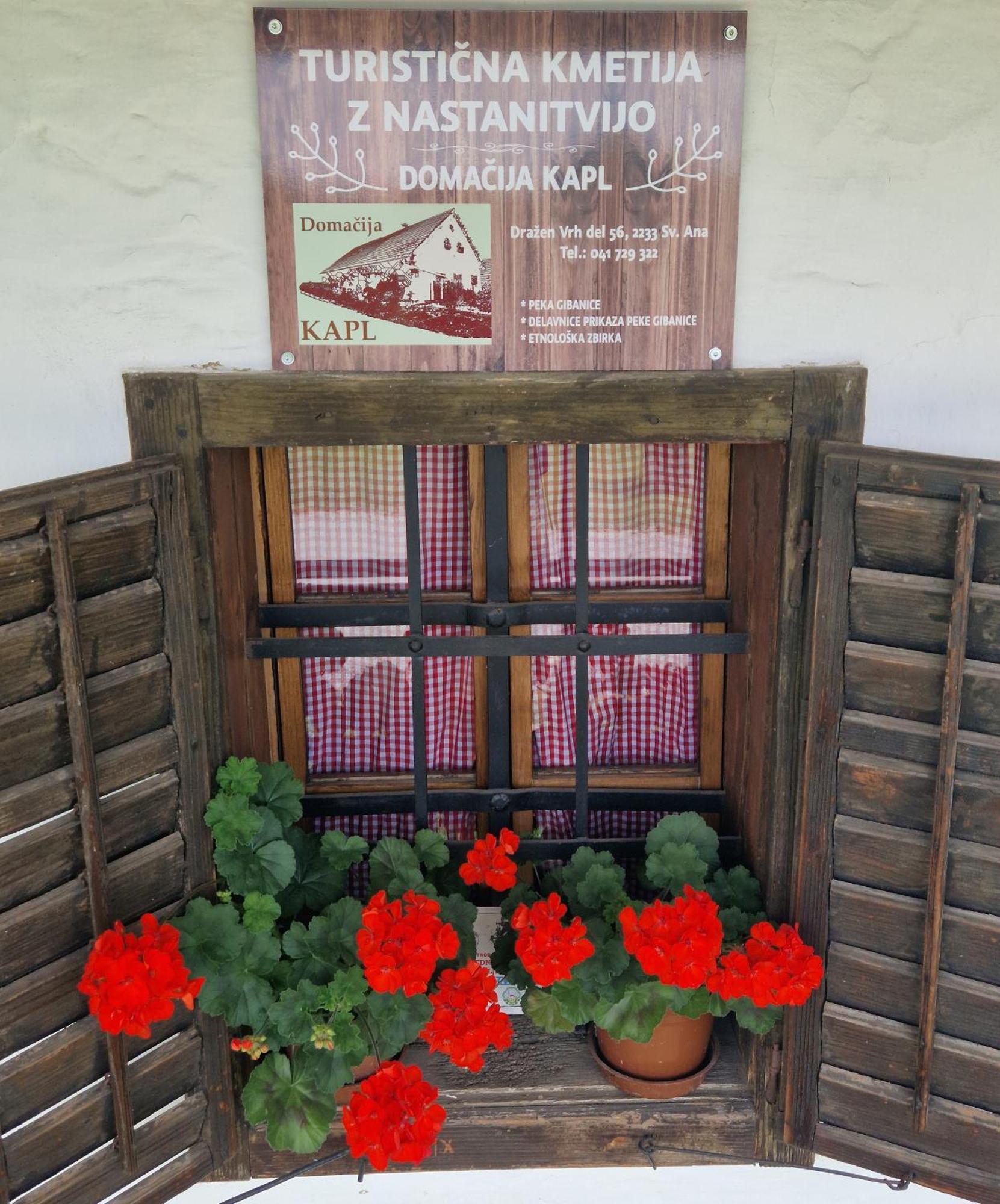 Homestay Kapl Ledinek Dış mekan fotoğraf