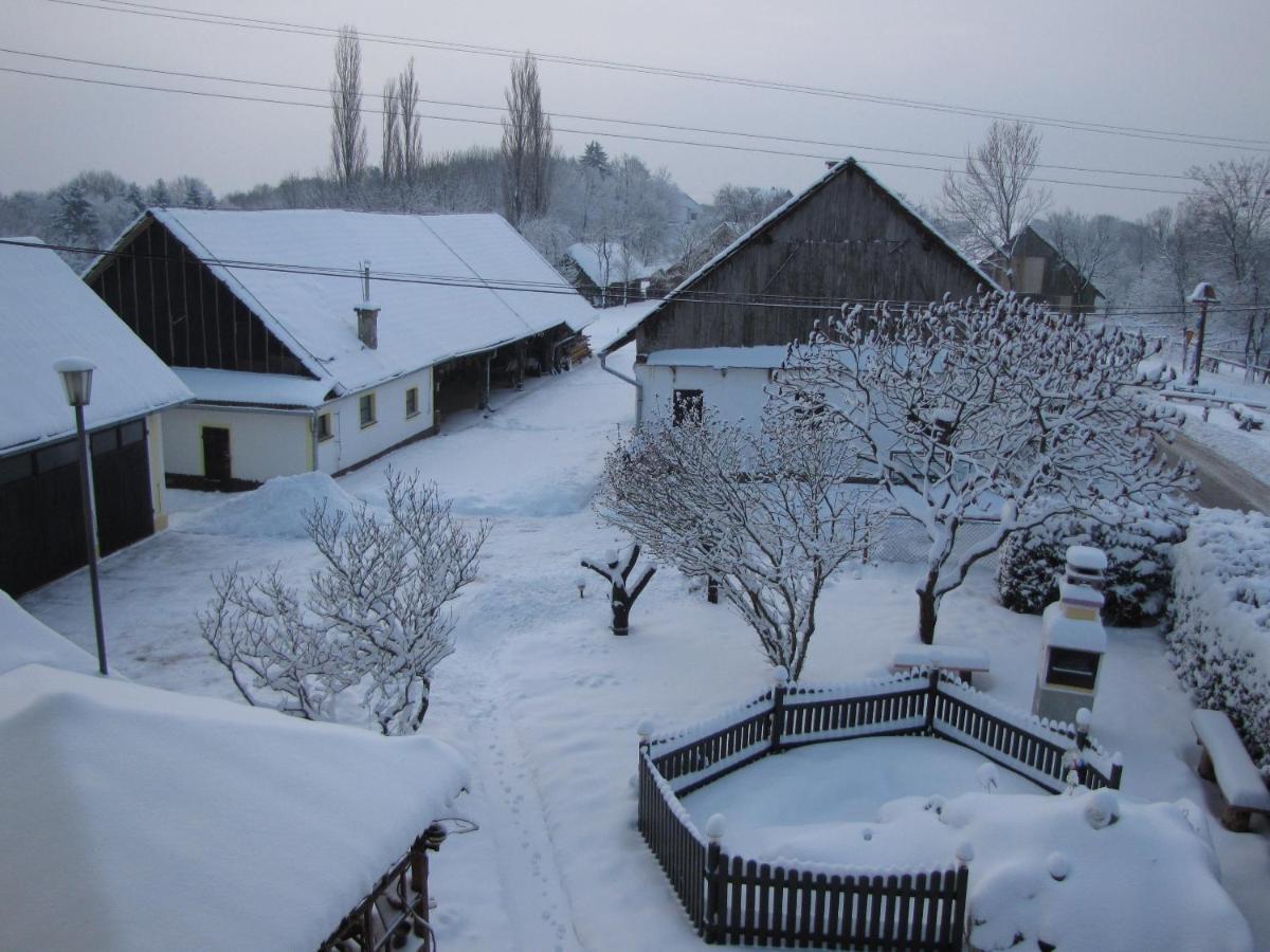 Homestay Kapl Ledinek Dış mekan fotoğraf